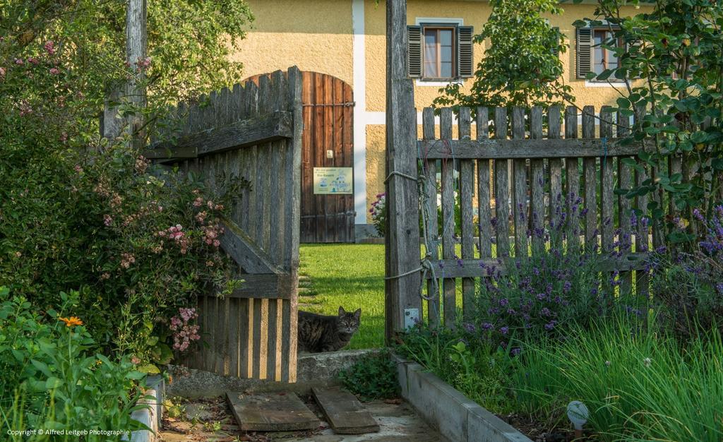 Weslhof Séjour à la ferme *