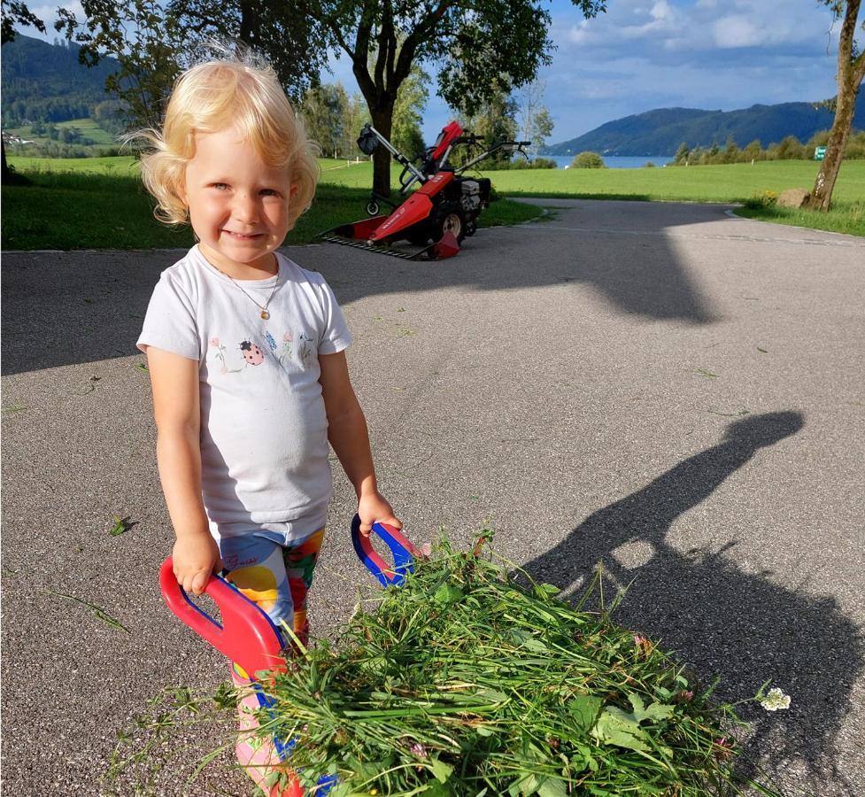 Farm stay Weslhof Attersee