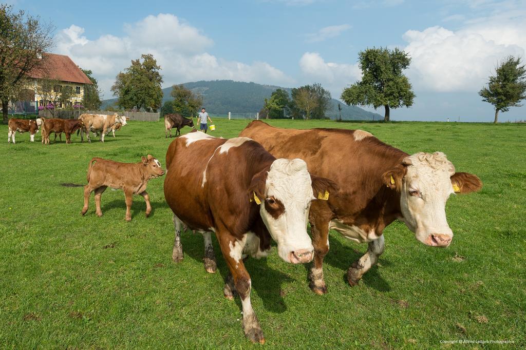 Weslhof * Attersee