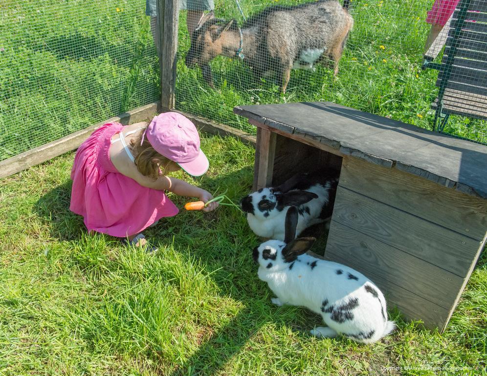 Farm stay Weslhof *